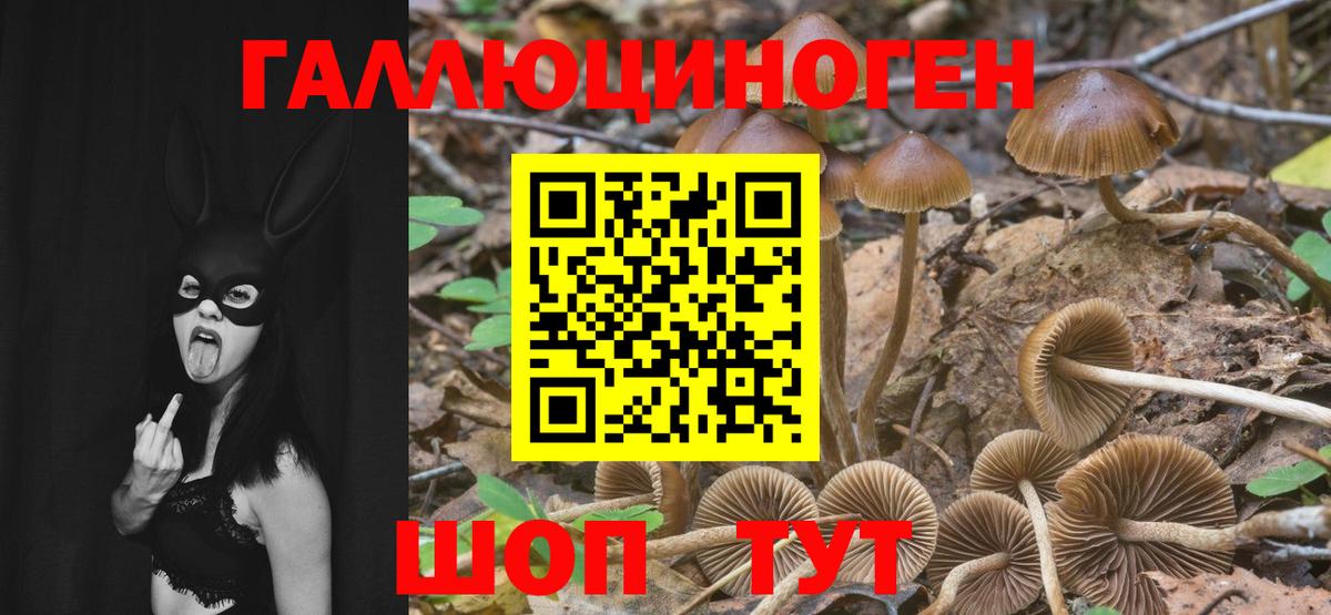 где можно купить наркотик  Вход с VPN  Партизанск  Галлюциногенные грибы GOLDEN TEACHER 