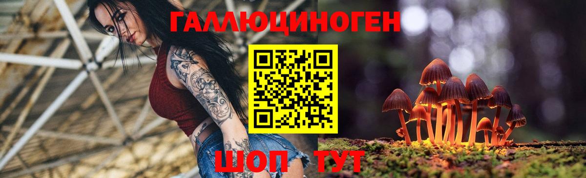 Псилоцибиновые грибы мицелий Партизанск
